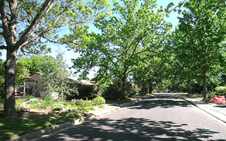 Lewin Streetscape