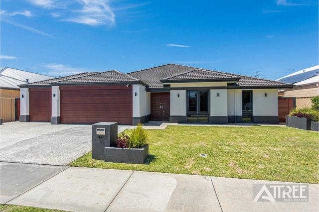 14 Trumpet Street, WA 6110