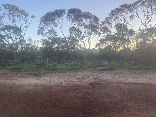 Lot 122 Wilson Street, WA 6485