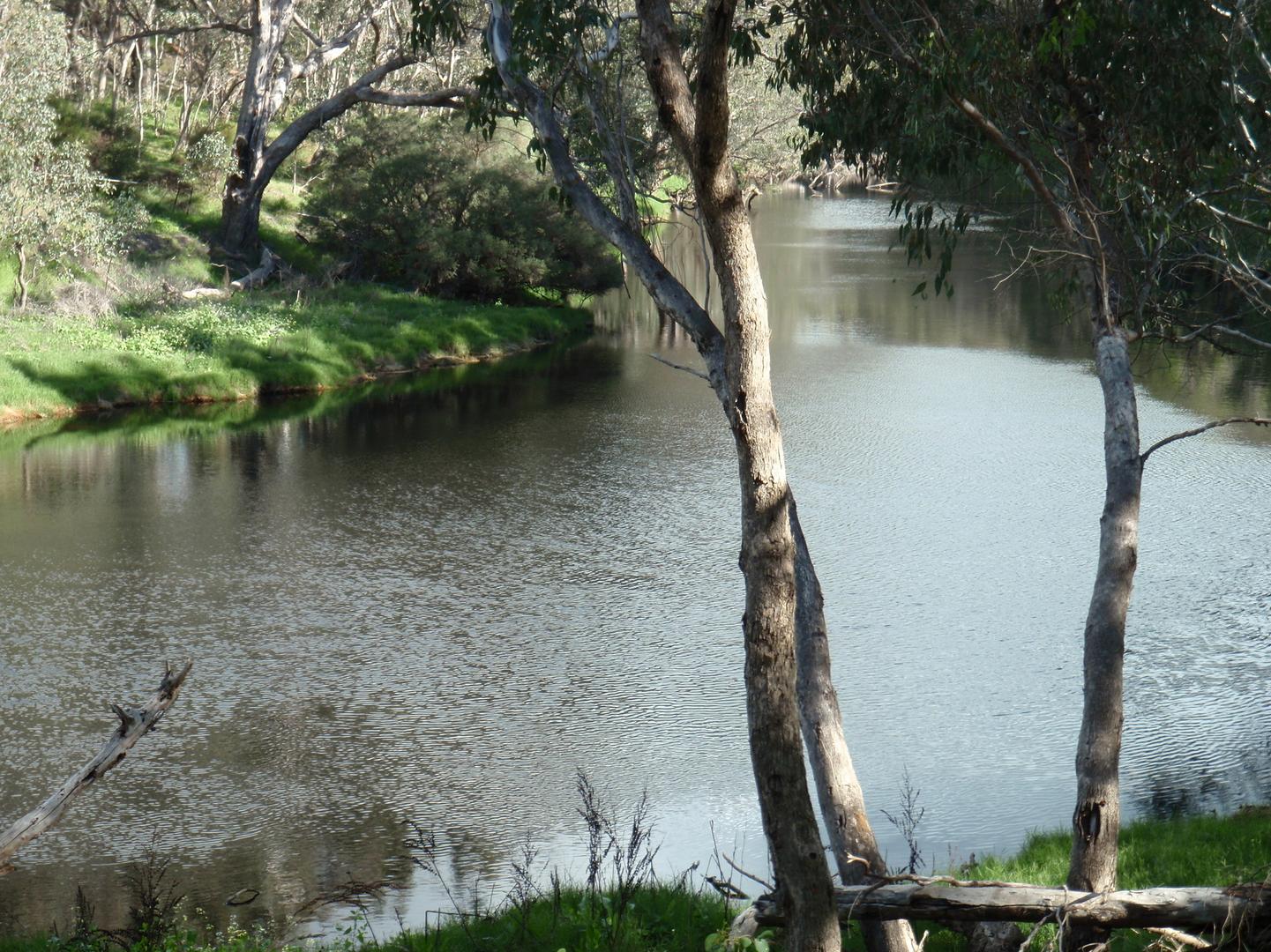 19 West Blackwood Terrace, Bridgetown WA 6255 Allhomes