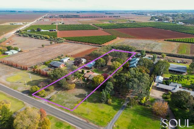 172 Walla Avenue, NSW 2680