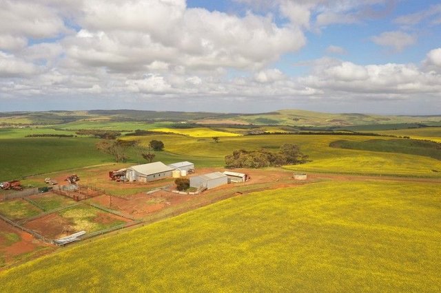 251 Reservoir  Drive, SA 5607