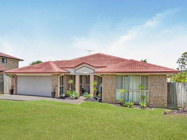 12 Watkins Court, QLD 4208