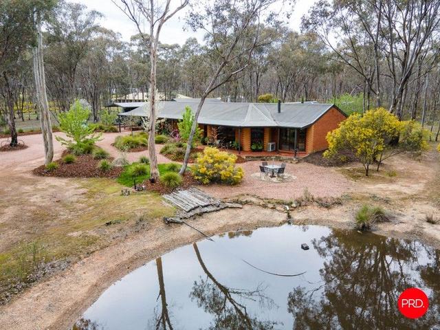 156 Trotting Terrace, VIC 3551