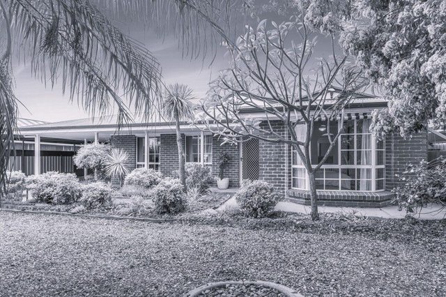 113 Pyap Street, SA 5341