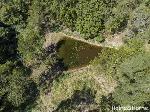 31 Crows Ash Lane, QLD 4563