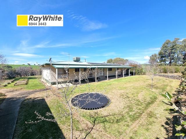 231 Taafe Street, NSW 2726