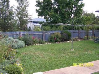 Backyard (2008-02-28)