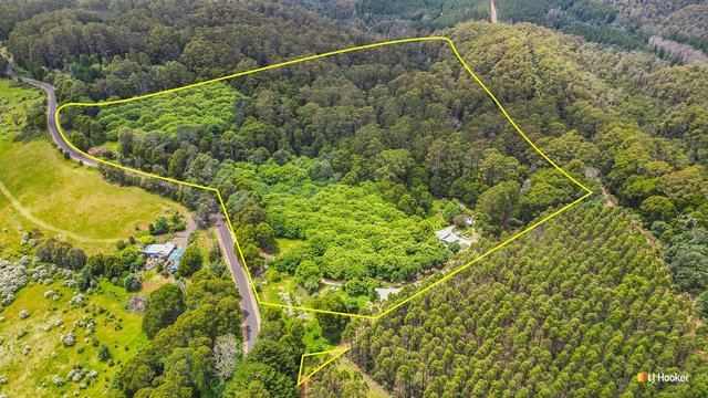 2045 Preolenna Road, TAS 7325