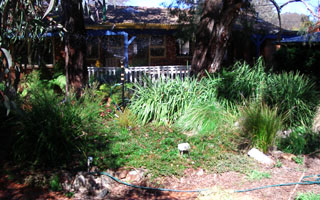 Garden (2003-09-09)