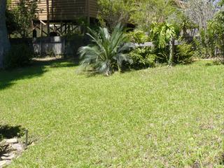 Backyard (2010-02-25)