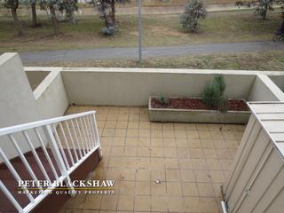 Rear Courtyard (2013-05-31)