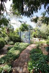 Garden (2011-04-07)