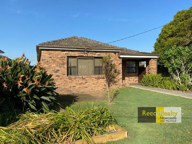 132 Marsden Street, NSW 2307