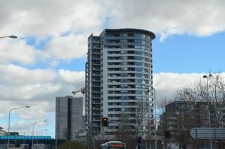 Standard Photo (2019-02-16)