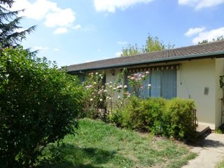 Main Photo