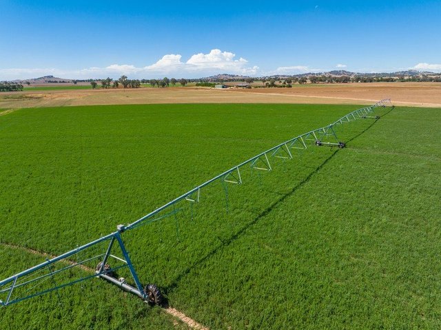 North Logan Road, NSW 2794