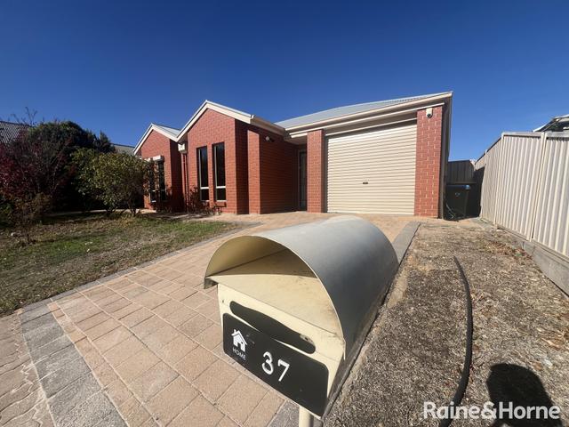 37 McKinlay Avenue, SA 5086
