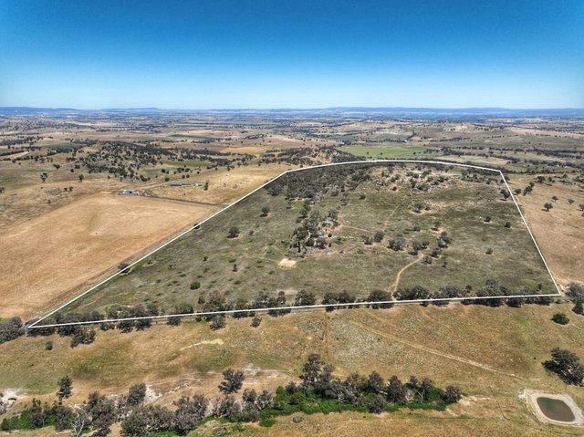 1294 Pine Mount Road, NSW 2793