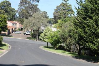 Standard Photo (2015-12-02)