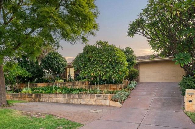 41 Collinson Way, WA 6149