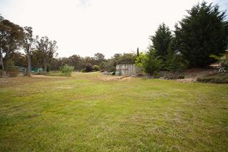 Backyard (2013-01-30)