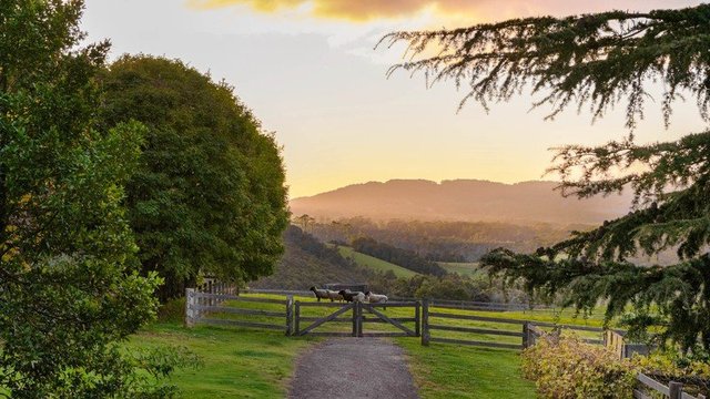 55 Fountaindale Road, NSW 2577