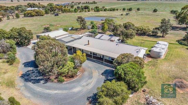 1222 Mount Terrick Road, VIC 3564