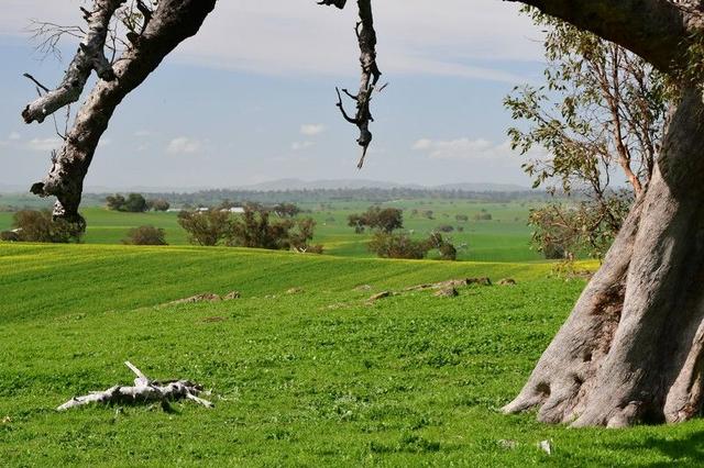 LOT 94 Yellow Cutting Road, SA 5481