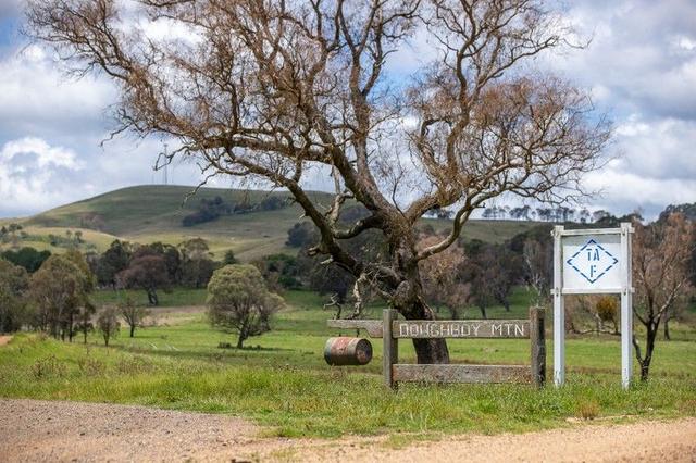 1763 Wongwibinda Road, NSW 2350