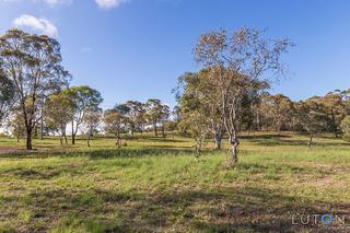 Mount Rogers Reserve