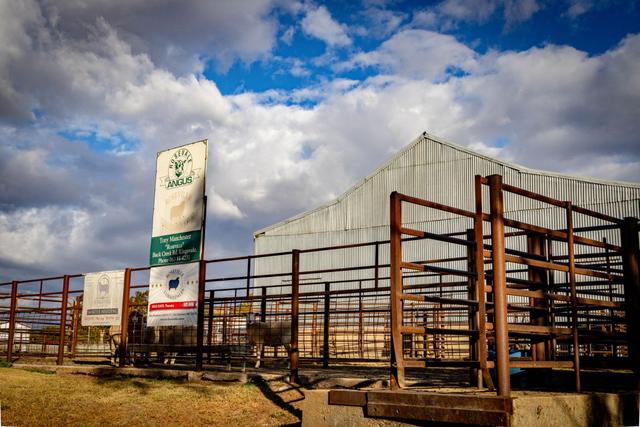 1482 Back Creek Road Kingsvale (Via), NSW 2594