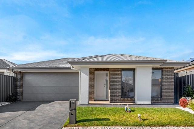 12 Terry Street, SA 5114