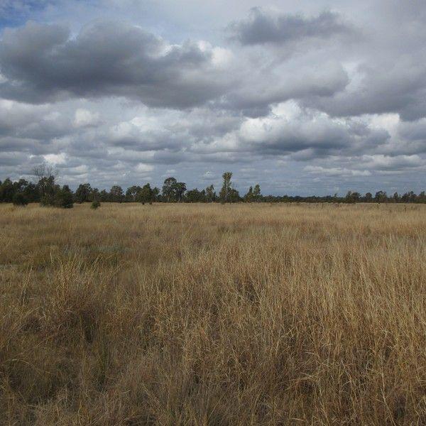 Lot/115 Kofoeds  Road, QLD 4421