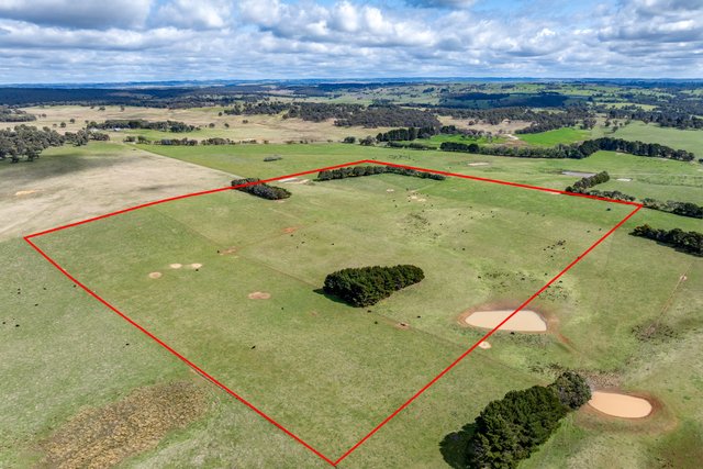1182 Yalbraith Road, NSW 2580