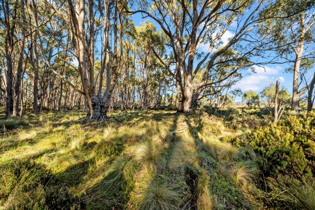 47 Woodwards Bay Road, TAS 7140