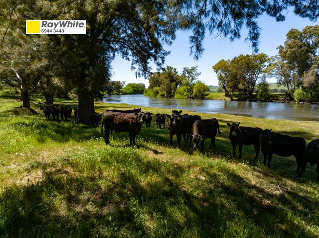 44 Dodd Street, NSW 2722