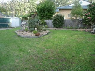 Backyard (2010-08-06)