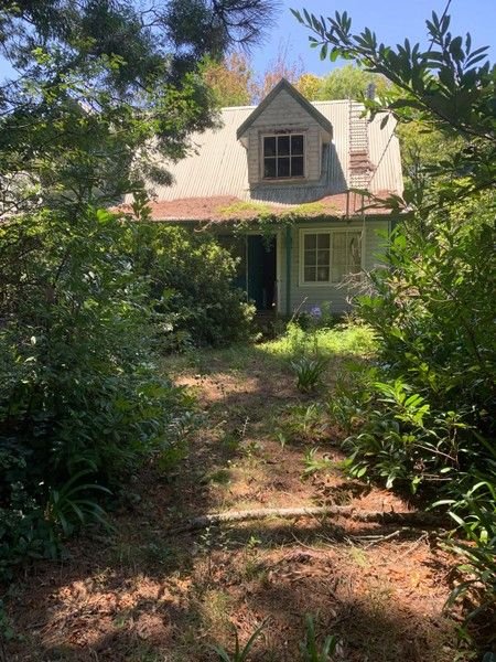 41 Prince Edward Street, NSW 2785