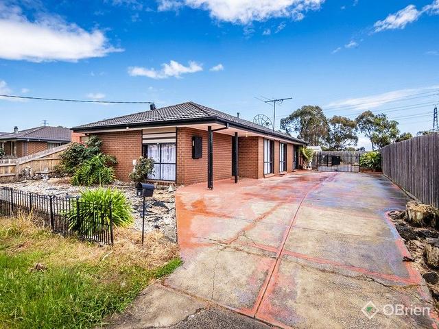19 Elcan Avenue, VIC 3977
