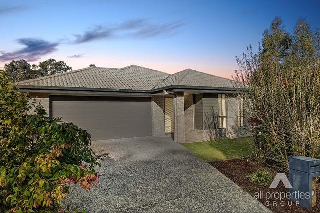 15 Tempera Place, QLD 4207