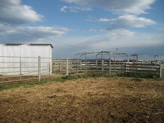 Cattle yards