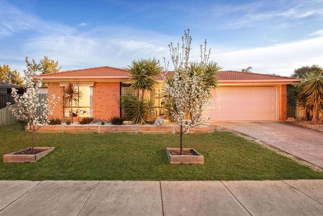 25 Marshall Street, VIC 3690