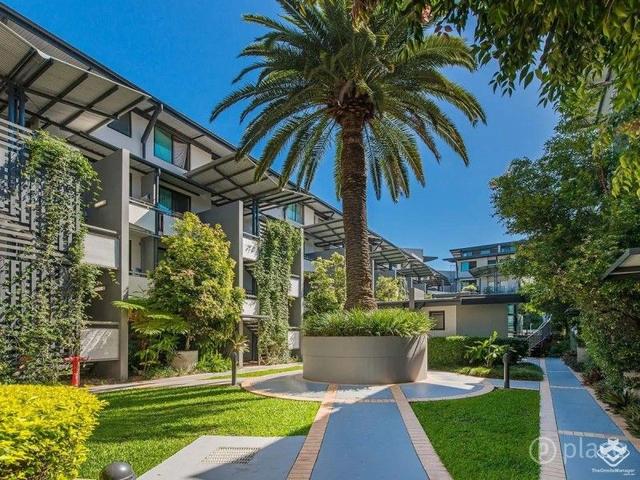 ID:21164602/139 Commercial Road, QLD 4005