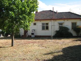 Backyard (2011-08-19)
