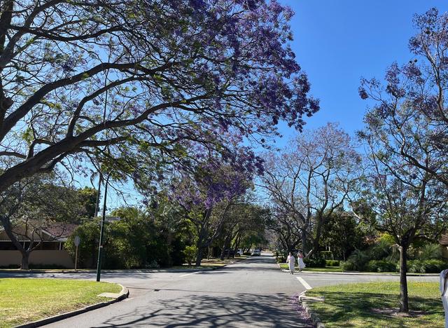 25 Tain Street, WA 6153