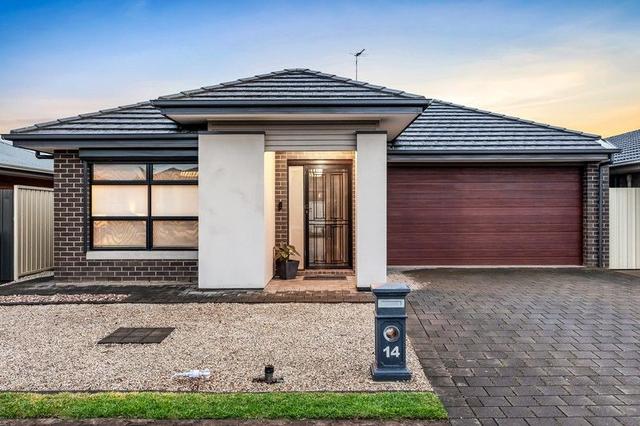 14 Citrus Street, SA 5110