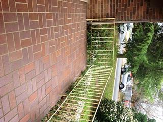 Front Deck (2014-09-25)