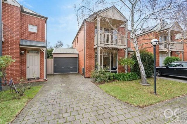 16/67 Conyngham Street, SA 5065