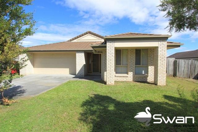 16 Lorikeet Way, QLD 4132